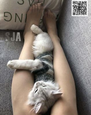精品久久电影网_720手机免费观看完整