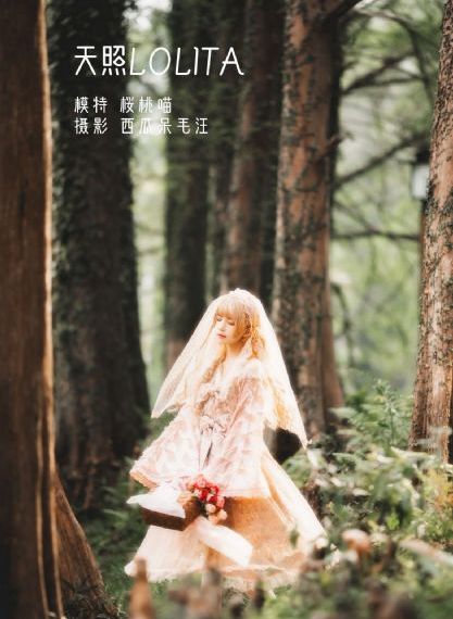 姐姐6_1080在线视频播放