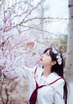 无颜之月1到5集免费观看_神马电影免费观看